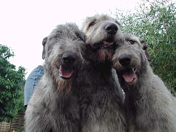 6a0b0e0c90_5480090_o2.jpg